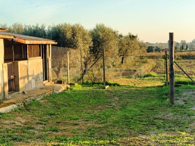 Villa Indipendente in vendita a Capalbio, Toscana