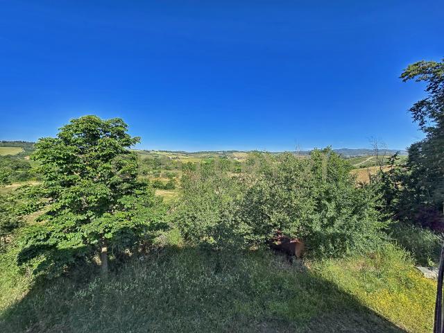 Villa Indipendente in vendita a Scansano, Toscana