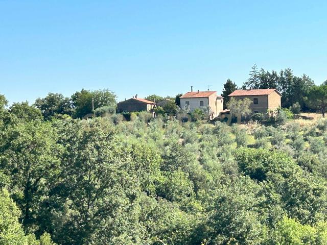 Villa Indipendente in vendita a Cinigiano, Toscana