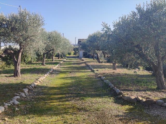 Villa Indipendente in vendita a Città Sant'angelo, Abruzzo