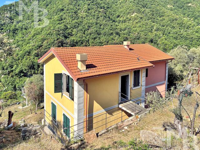 Villa Indipendente in vendita a Avegno, Salto