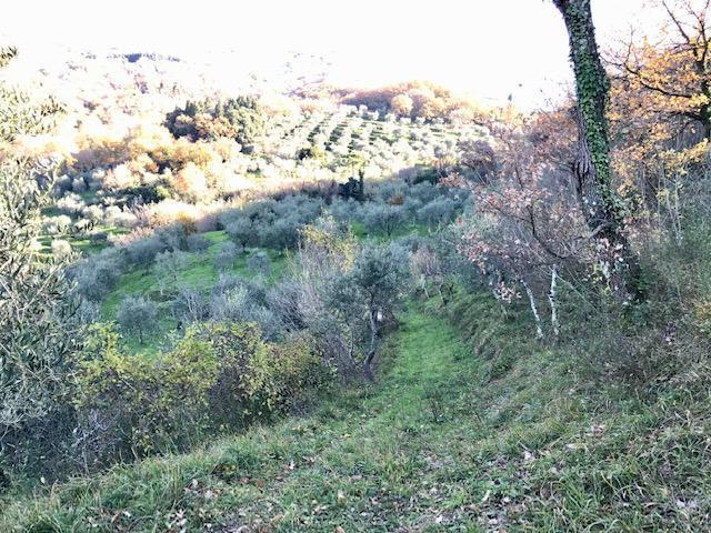 Villa Indipendente in vendita a Monsummano Alto, Montevettolini