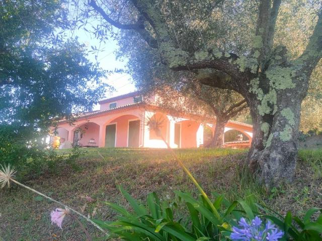 Villa Indipendente in vendita a Sarzana, Liguria