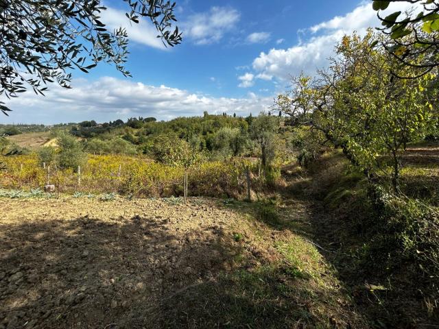 Villa Indipendente in vendita a Terricciola, Toscana