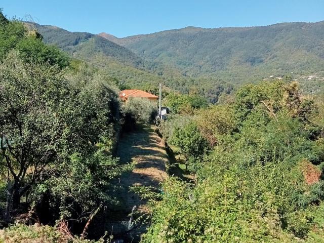Villa Indipendente in vendita a Calice Al Cornoviglio, Liguria