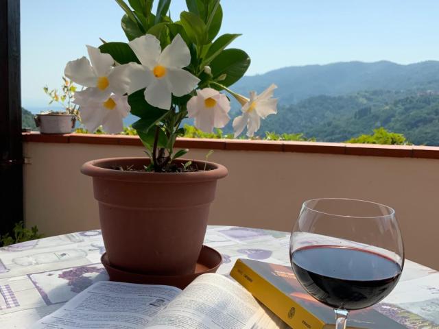 Villa Indipendente in vendita a Uzzano E Castello, Pistoia