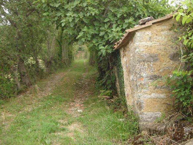 Villa Indipendente in vendita a Unione dei Comuni Montani Amiata Grossetana, Semproniano