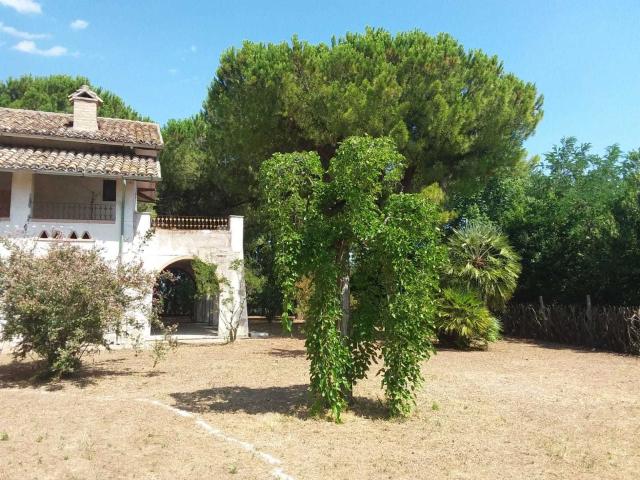 Villa Indipendente in vendita a Tortoreto, Teramo