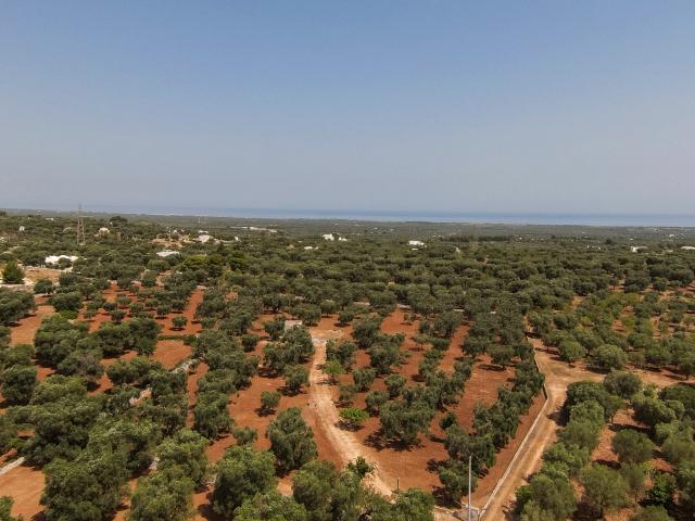 Villa Indipendente in vendita a Puglia, Brindisi
