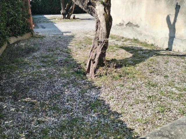 Villa Indipendente in vendita a Marina Di Massa, Toscana