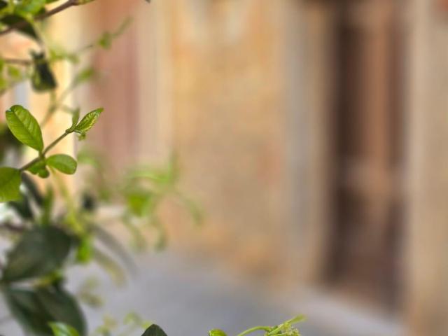 Villa Indipendente in vendita a Rapolano Terme, Toscana