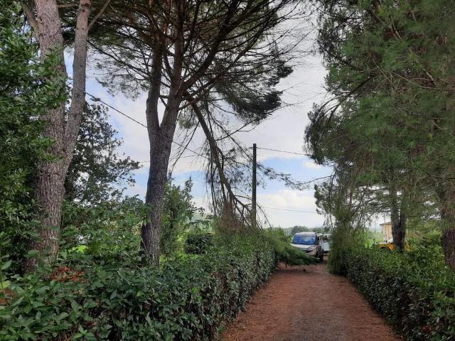 Villa Indipendente in vendita a La Rosa, Terricciola