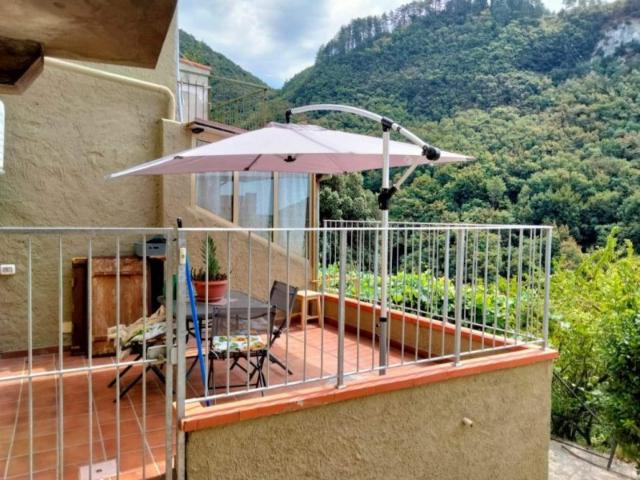 Villa Indipendente in affitto a Torcigliano, Camaiore
