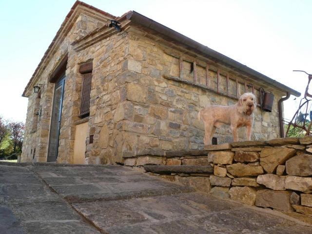 Villa Indipendente in affitto a Fiesole, Toscana
