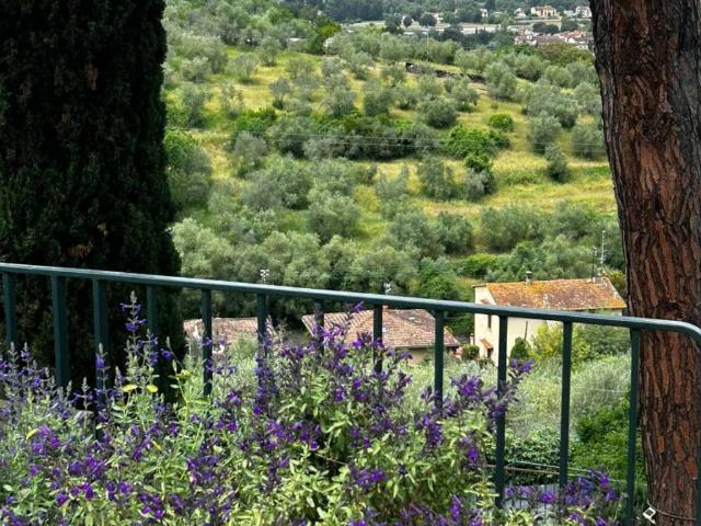 Villa Indipendente in affitto a Quartiere 3, Firenze