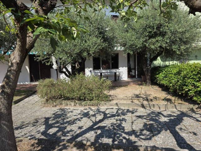 Villa Indipendente in affitto a Piemonte, Alessandria