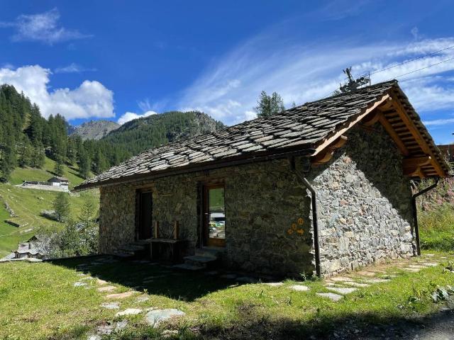 Villa Indipendente in affitto a Gressoney La Trinité, Aosta