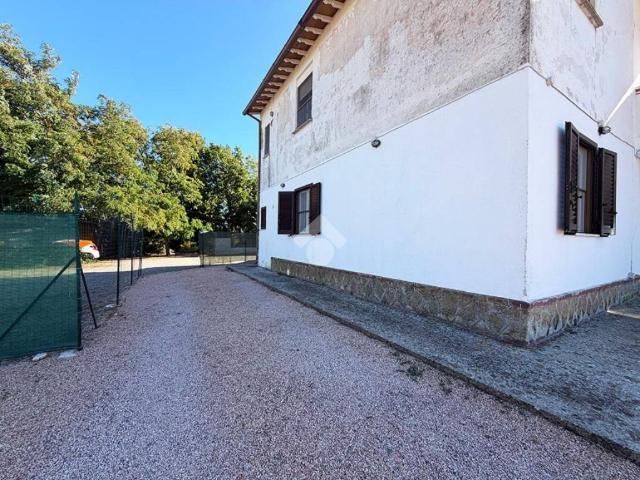 Villa Indipendente in affitto a Pescia Romana, Montalto di Castro
