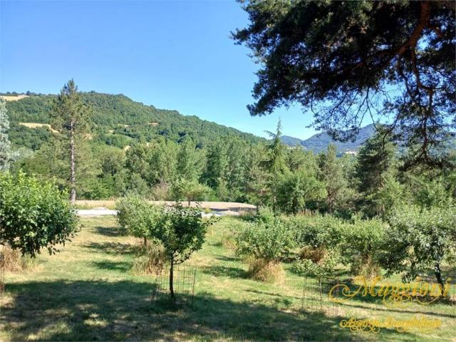 Villa Indipendente in affitto a Neviano Degli Arduini, Reggio Emilia