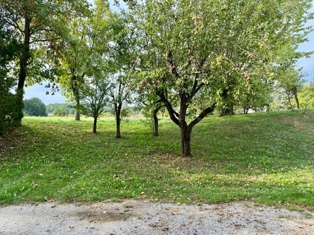 Villa Indipendente in affitto a Niella Tanaro, Cuneo