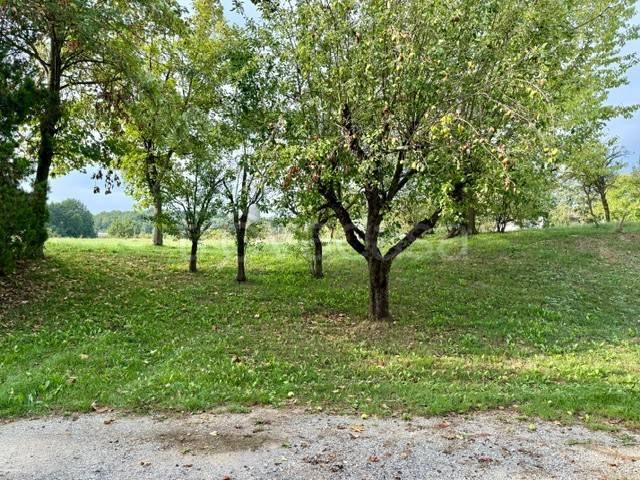 Villa Indipendente in affitto a Niella Tanaro, Cuneo