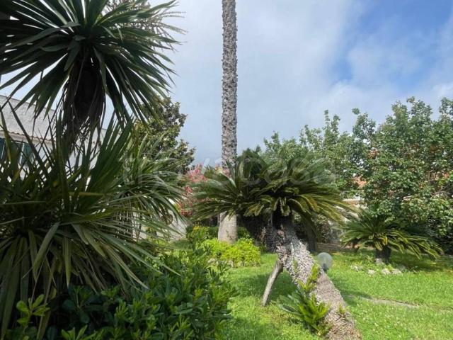 Villa Indipendente in affitto a San Felice Circeo, Lazio