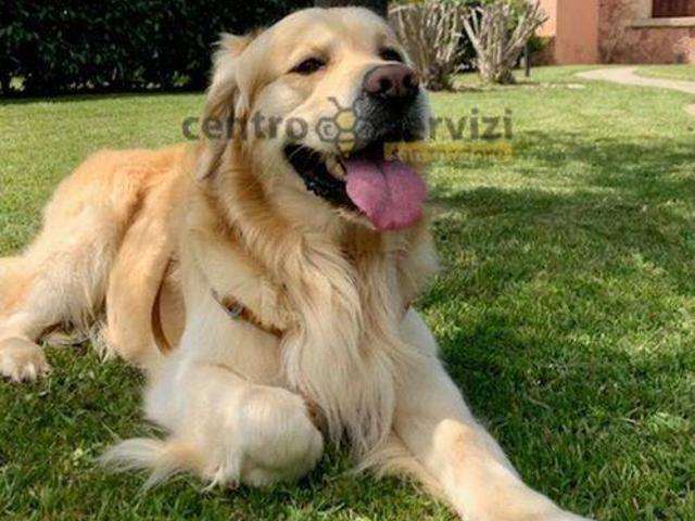 Villa Indipendente in affitto a Puntaldia, Sardigna/Sardegna