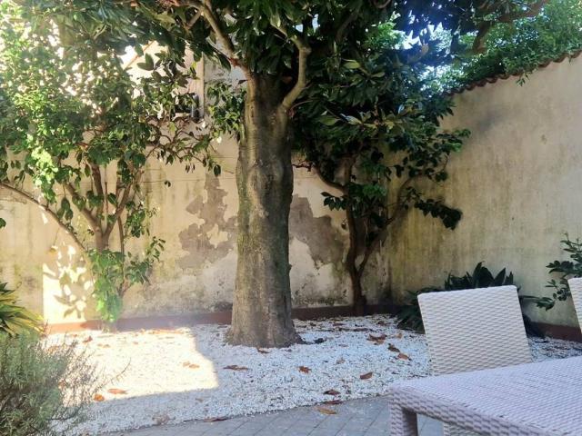 Appartamento in affitto a Viareggio, Lucca