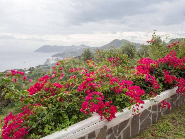 Villa Indipendente in affitto a Panarea, Sicilia