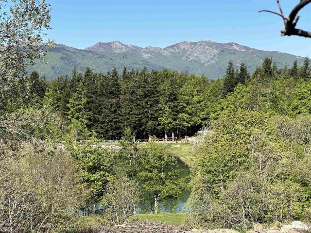 Villa Indipendente in vendita a Abetone Cutigliano, Toscana