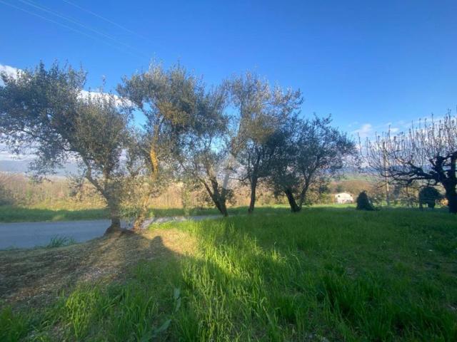Villa Indipendente in vendita a Izzalini, Umbria