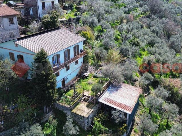Villa Indipendente in vendita a Cercitole, Acuto