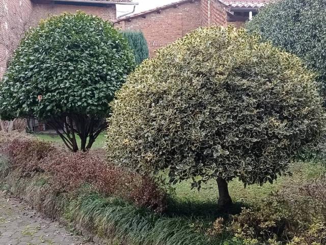 Villa Indipendente in vendita a Piemonte, Torino