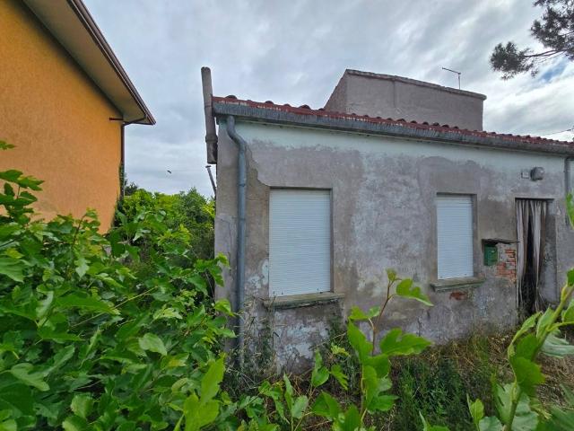 Villa Indipendente in vendita a Agna, Veneto