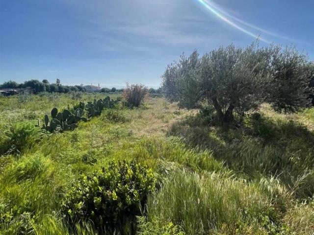 Villa Indipendente in vendita a Cannatello, Agrigento
