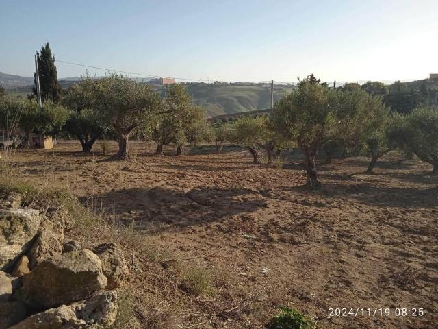 Villa Indipendente in vendita a Fontanelle, Agrigento