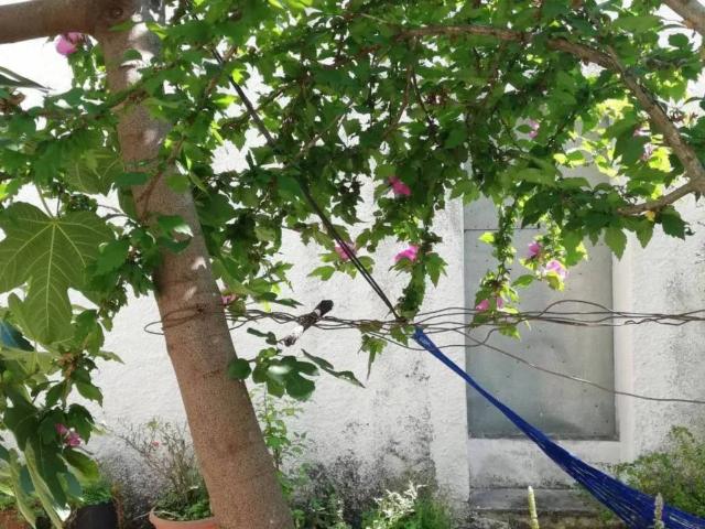 Villa Indipendente in vendita a Albano Di Lucania, Basilicata