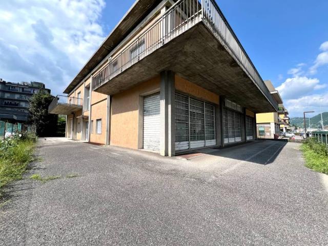 Villa Indipendente in vendita a Albino, Lombardia