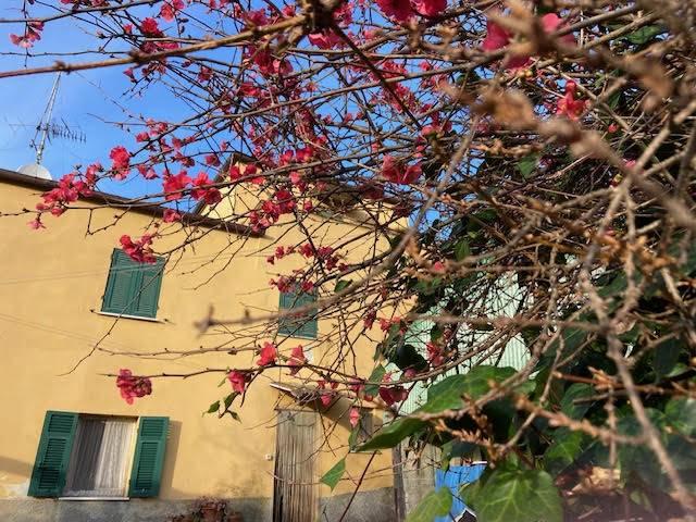Villa Indipendente in vendita a Luceto, Albisola Superiore
