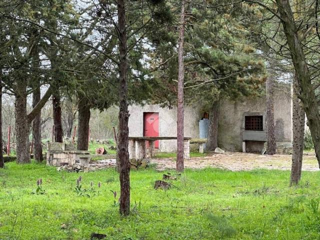 Villa Indipendente in vendita a Puglia, Bari