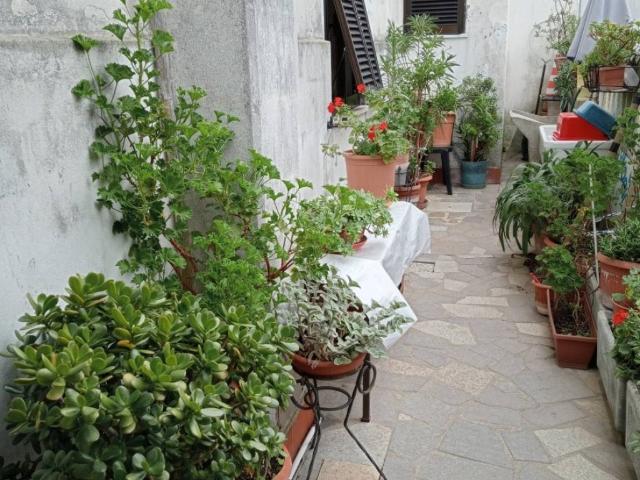 Villa Indipendente in vendita a Ameglia, Liguria