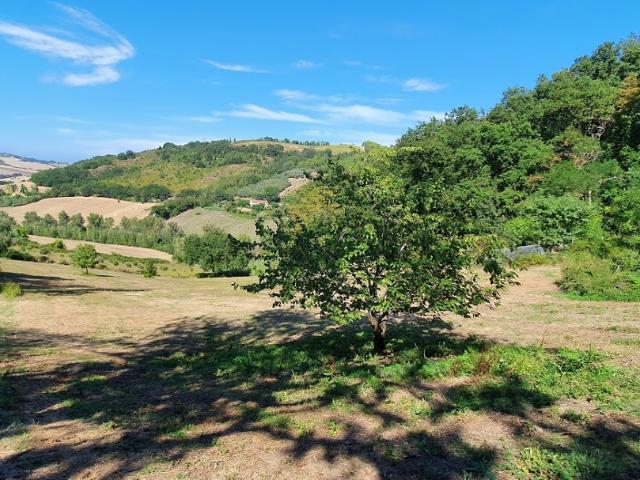 Villa Indipendente in vendita a Ancona