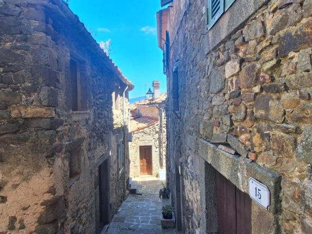 Villa Indipendente in vendita a Unione dei Comuni Montani Amiata Grossetana, Arcidosso