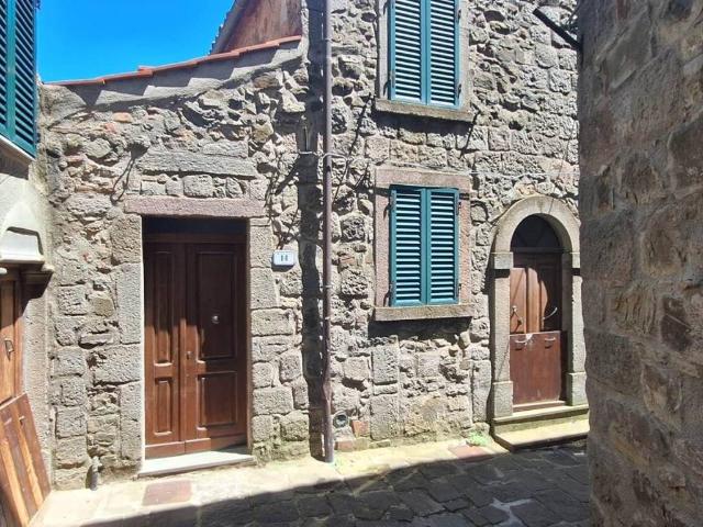 Villa Indipendente in vendita a Unione dei Comuni Montani Amiata Grossetana, Arcidosso