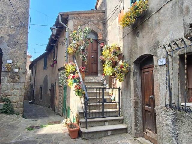 Villa Indipendente in vendita a Unione dei Comuni Montani Amiata Grossetana, Arcidosso