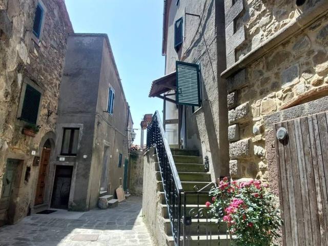Villa Indipendente in vendita a Unione dei Comuni Montani Amiata Grossetana, Arcidosso