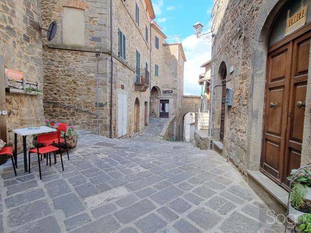 Villa Indipendente in vendita a Unione dei Comuni Montani Amiata Grossetana, Arcidosso