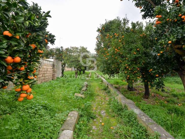 Villa Indipendente in vendita a Puglia, Lecce