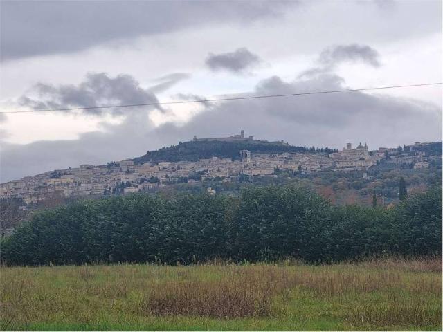 Villa Indipendente in vendita a Assisi, Umbria