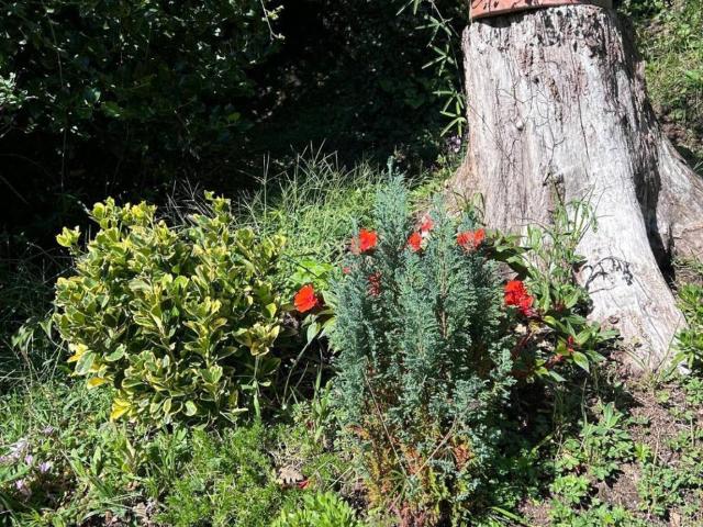Villa Indipendente in vendita a Unione di comuni Montana Lunigiana, Fivizzano